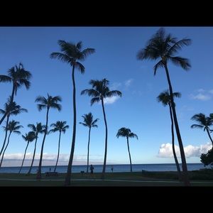 Meet your Posher, Frances